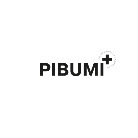 PIBUMI
